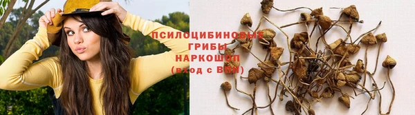 ECSTASY Медвежьегорск