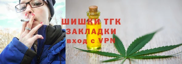 ПСИЛОЦИБИНОВЫЕ ГРИБЫ Касимов