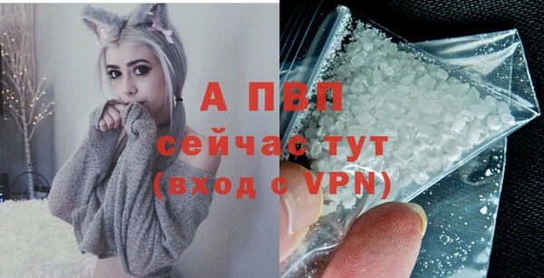 шишки Мегион