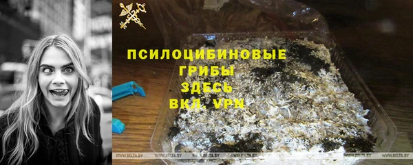 ECSTASY Медвежьегорск