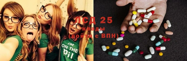 ПСИЛОЦИБИНОВЫЕ ГРИБЫ Касимов
