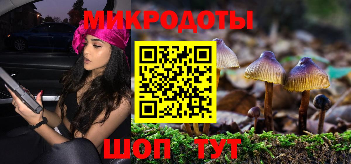 Галлюциногенные грибы Psilocybe  Галлюциногенные грибы Magic Shrooms  продажа наркотиков  Вход с VPN  Россия 