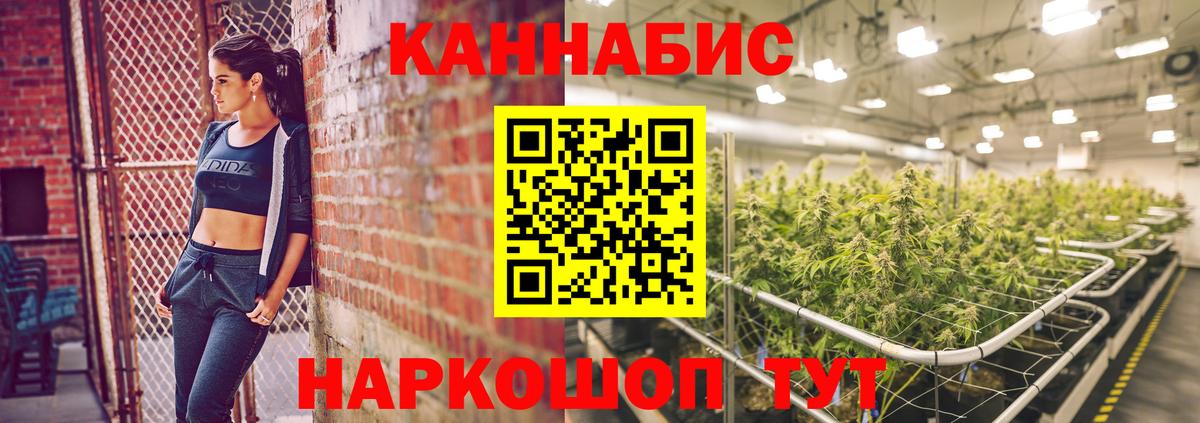 Бошки Шишки конопля Россия